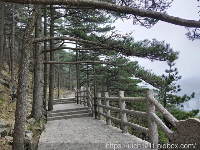 黃山 - 第40張圖 黃山