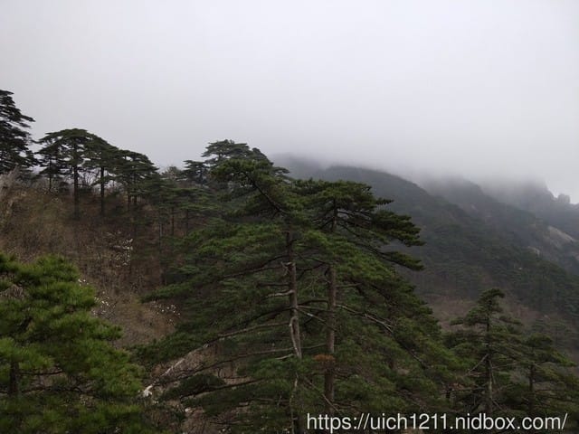 黃山 - 第38張圖 黃山