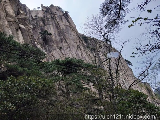 黃山 - 第26張圖 黃山