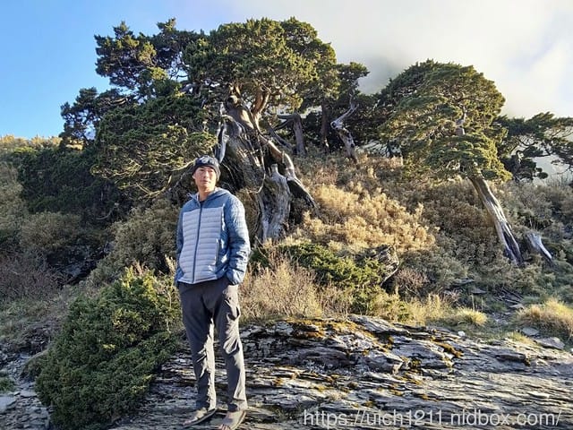 馬比杉山