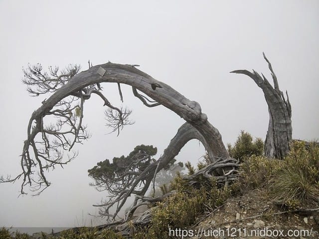 馬比杉山