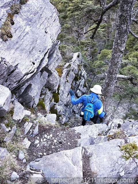 馬比杉山