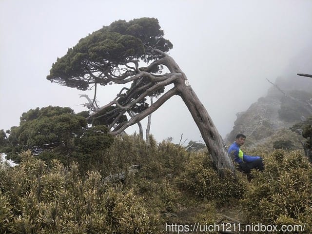 馬比杉山