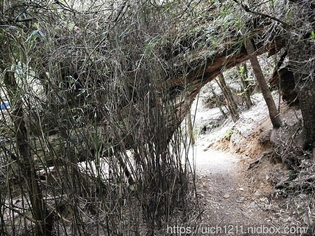 閂山鈴鳴 - 第11張圖 閂山鈴鳴
