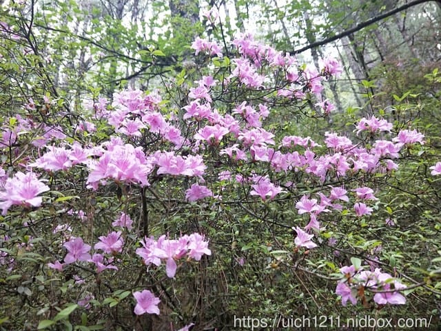 閂山鈴鳴 - 第31張圖 閂山鈴鳴