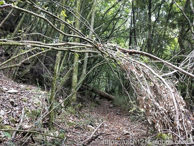 閂山鈴鳴 - 第33張圖 閂山鈴鳴