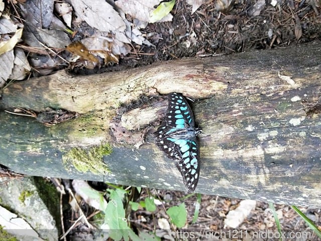 閂山鈴鳴 - 第34張圖 閂山鈴鳴