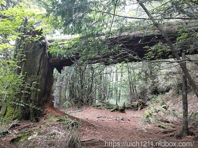閂山鈴鳴 - 第30張圖 閂山鈴鳴