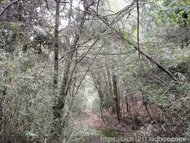 閂山鈴鳴 - 第10張圖 閂山鈴鳴