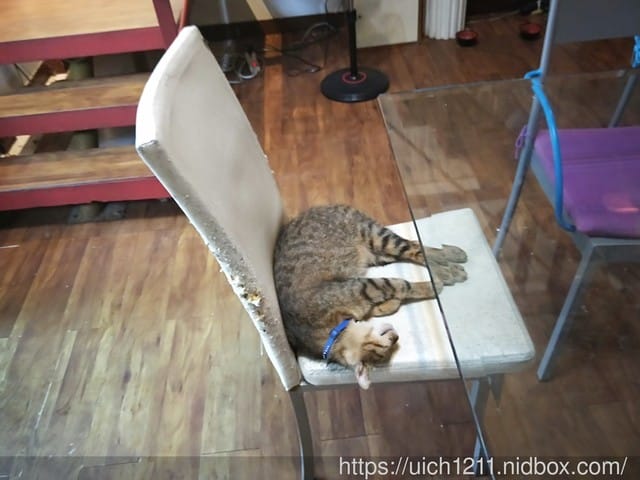 威尼斯花園