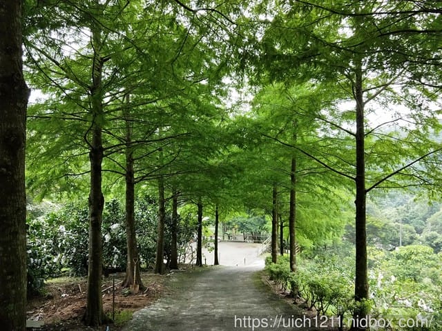 米棧古道