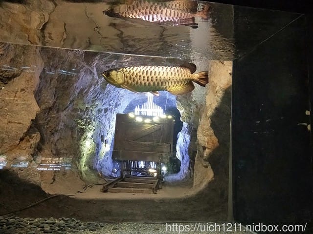 韓國之旅二 - 第8張圖 韓國之旅二