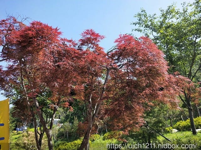 韓國之旅二 - 第29張圖 韓國之旅二