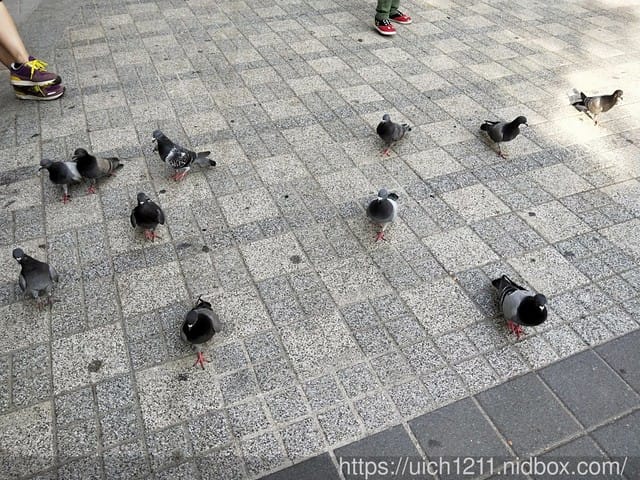 韓國完結篇