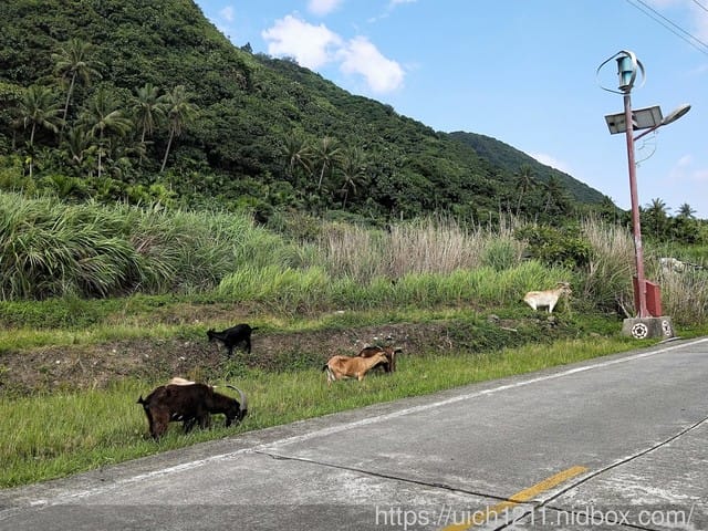 蘭嶼之旅 - 第15張圖 蘭嶼之旅