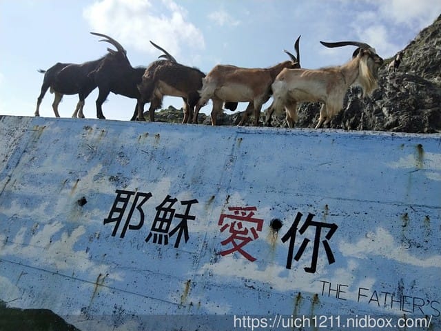 蘭嶼之旅 - 第25張圖 蘭嶼之旅