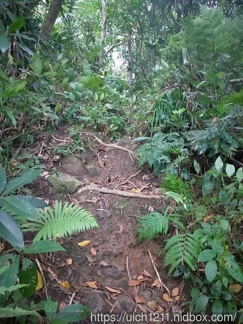 紅頭山