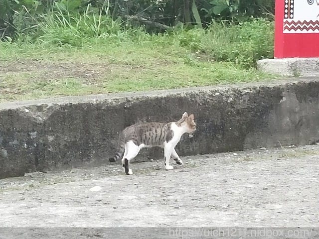 蘭嶼之旅完結篇 - 第32張圖 蘭嶼之旅完結篇