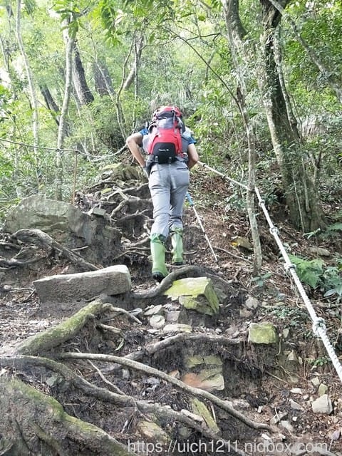 唐麻丹山