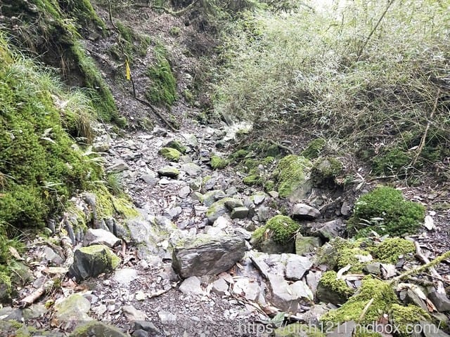 中央尖山 - 第8張圖 中央尖山
