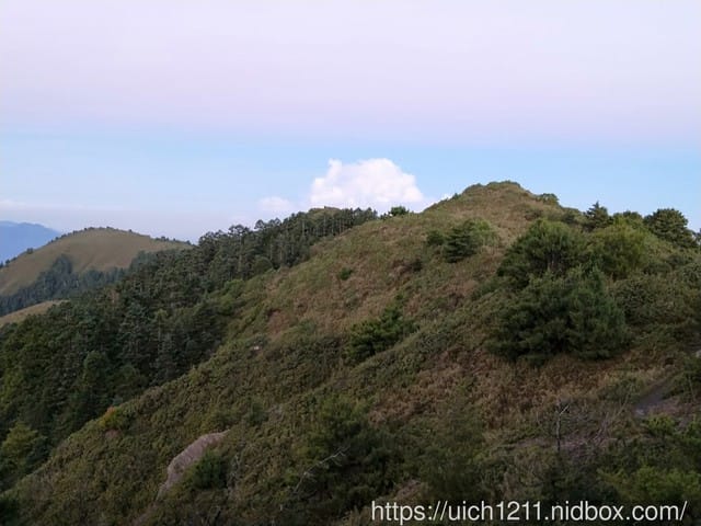 大小霸