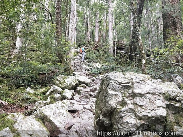 大小霸