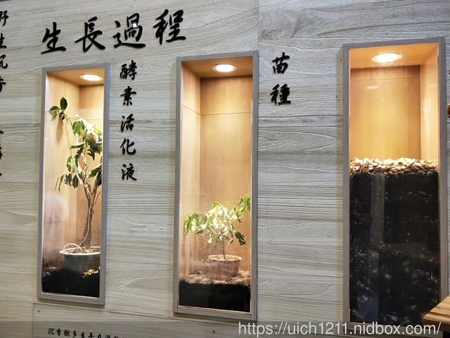 澄霖沉香味道森林館