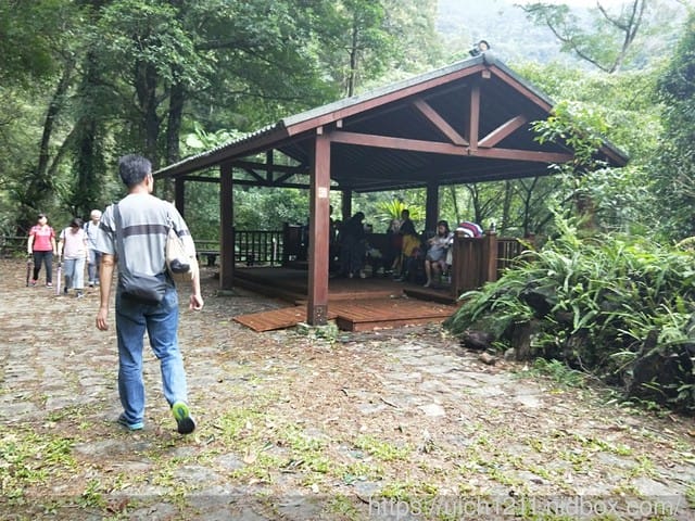 內洞森林遊樂區 - 第21張圖 內洞森林遊樂區