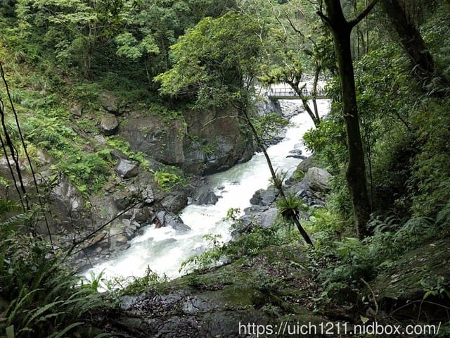 內洞森林遊樂區 - 第25張圖 內洞森林遊樂區