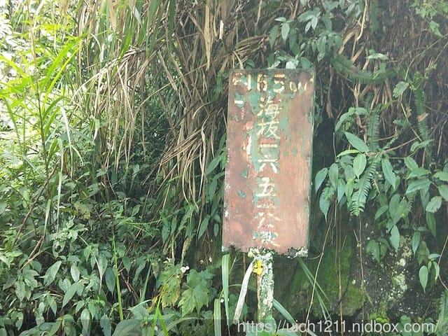 忘憂森林