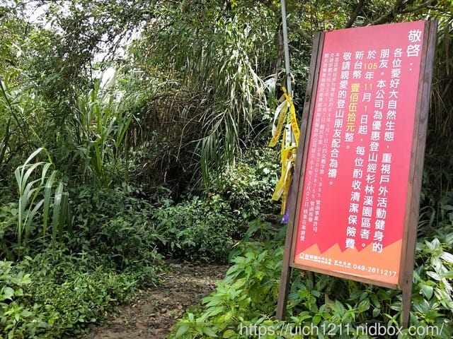 忘憂森林