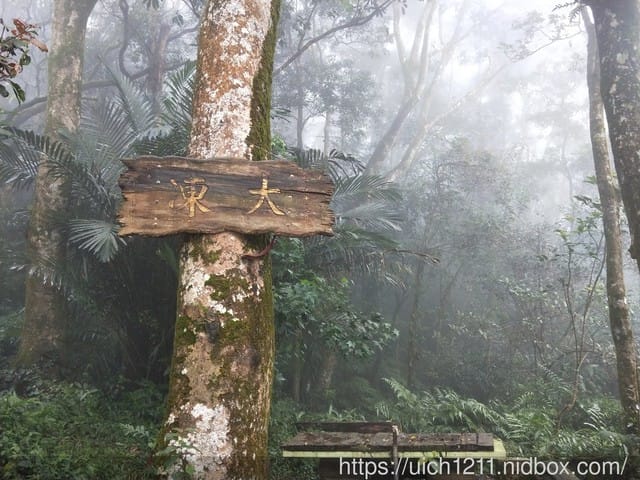 白河大凍山 - 第22張圖 白河大凍山