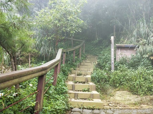 白河大凍山 - 第16張圖 白河大凍山