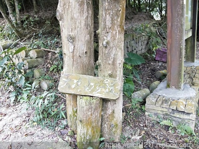 白河大凍山 - 第5張圖 白河大凍山