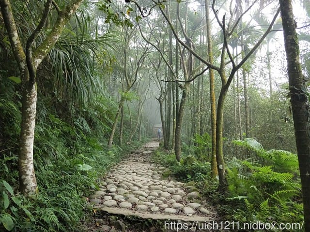 白河大凍山 - 第10張圖 白河大凍山