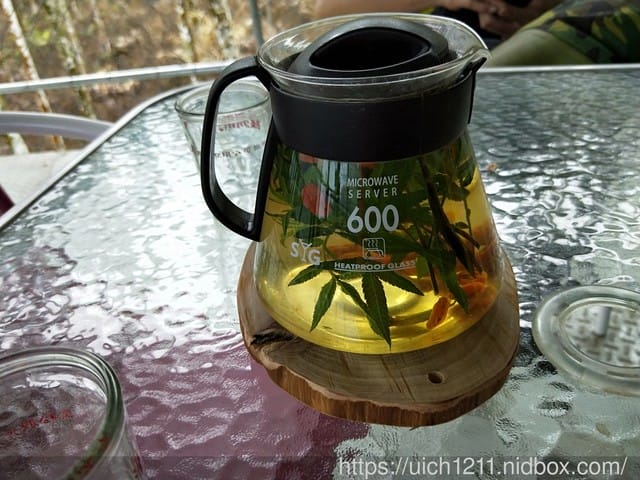 白河大凍山 - 第33張圖 白河大凍山
