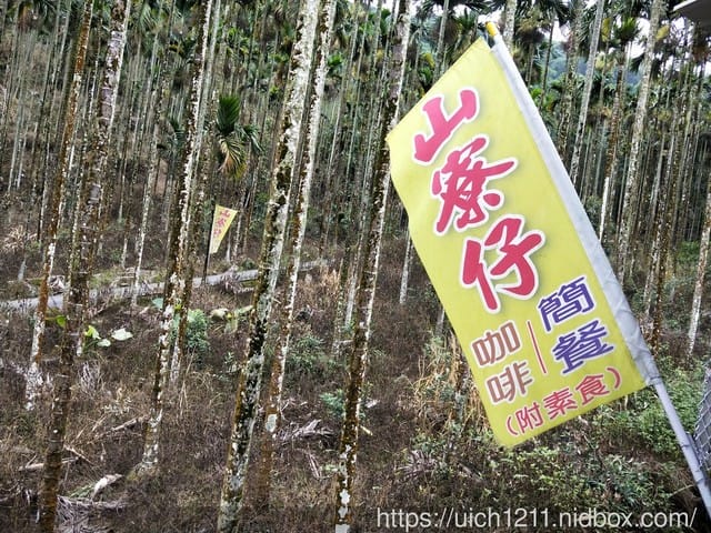 白河大凍山 - 第29張圖 白河大凍山