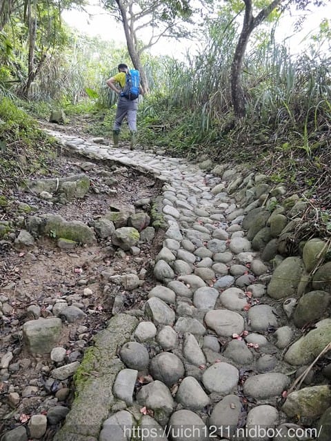 白河大凍山 - 第11張圖 白河大凍山