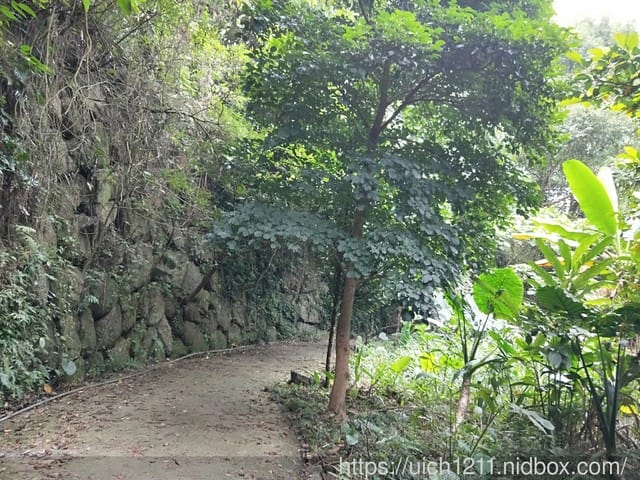 白河大凍山 - 第2張圖 白河大凍山