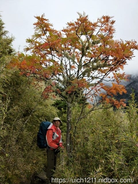 雪山北峰