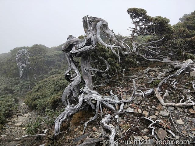 雪山北峰