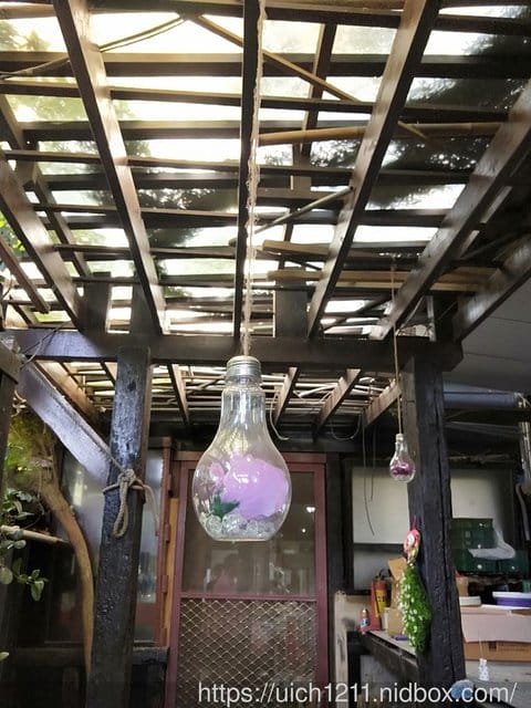 有隻喵