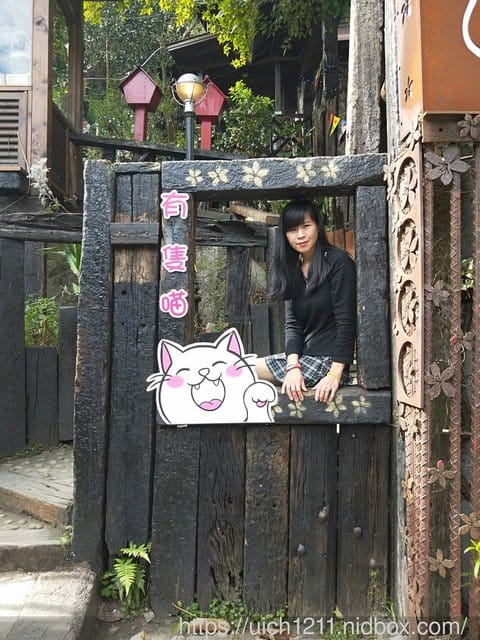 有隻喵