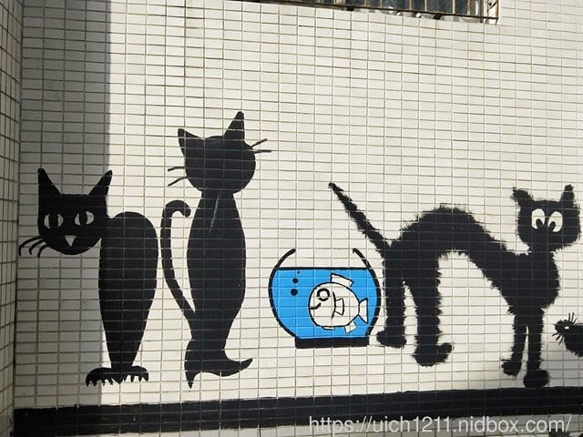 北門教堂夜晚與玉井貓巷