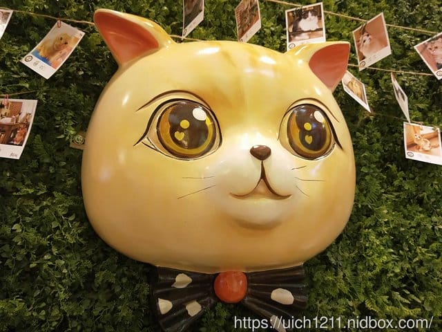 北京出差之旅