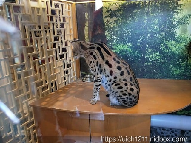 北京出差之旅
