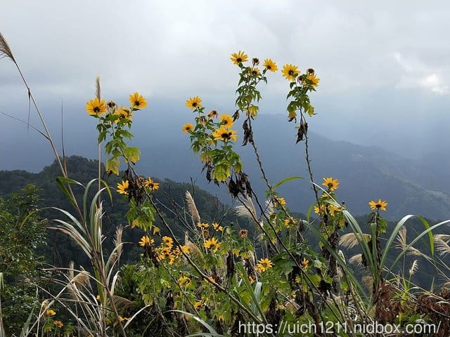 馬拉邦山
