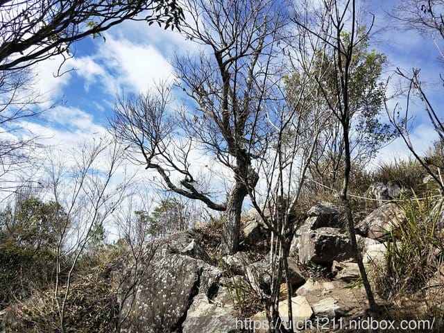 東卯山 - 第12張圖 東卯山