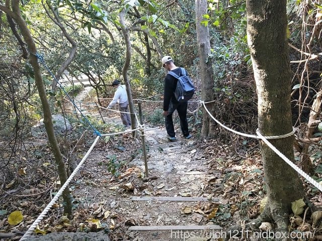 高雄之旅一 - 第41張圖 高雄之旅一