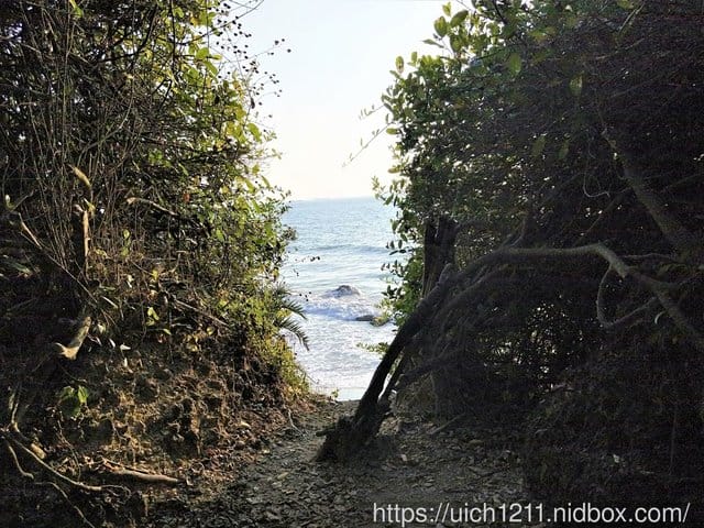 高雄之旅一 - 第42張圖 高雄之旅一